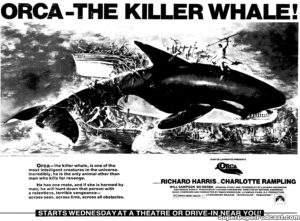 ORCA: THE KILLER WHALE- Newspaper ad.
July 13, 1977.