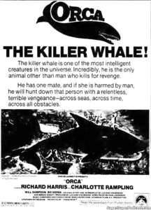 ORCA THE KILLER WHALE- Newspaper ad.
July 17, 1977.