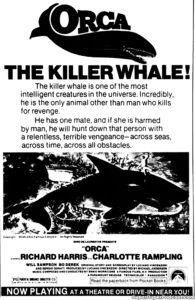 ORCA THE KILLER WHALER- Newspaper ad.
August 1, 1977.