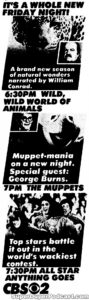 THE MUPPETS- Television guide ad. September 15, 1977. Caped Wonder Stuns City!