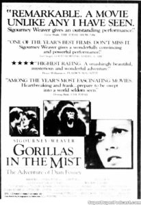 GORRILAS IN THE MIST- Newspaper ad. October 12, 1988.