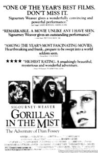 GORILLAS IN THE MIST- Newspaper ad. October 15, 1988. Caped Wonder Stuns City!